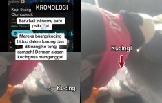 Kucing Dibuang dalam Tong Sampah di Bandung