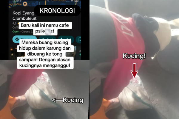 Kucing Dibuang dalam Tong Sampah di Bandung