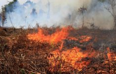 Kebakaran Lahan di Aceh Barat Meluas Hingga 19 Hektare, Pemadaman Masih Berlanjut