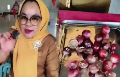 Guru SDN 3 Sindang Sari Lampung Marah Gegara MBG Basi