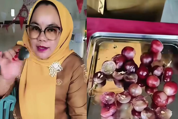 Guru SDN 3 Sindang Sari Lampung Marah Gegara MBG Basi