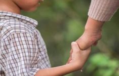 Miris! Pria Kelapa Gading Rebut Paksa Anak dari Mantan Istri, Fakta Hak Asuh Terungkap