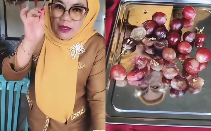 Paket MBG Busuk di SD Lampung Utara Picu Amarah Guru, Belasan Siswa Diduga Keracunan