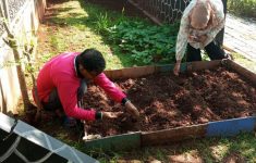 WhatsApp Image 2025 12 05 at 13.41.32