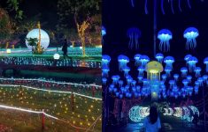 Baru! Festival Taman Lampu Menyala Jakarta Hadir di Mangrove, Simak Harga Tiket dan Jadwalnya