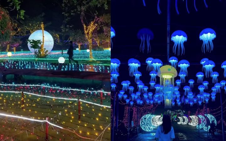 Baru! Festival Taman Lampu Menyala Jakarta Hadir di Mangrove, Simak Harga Tiket dan Jadwalnya