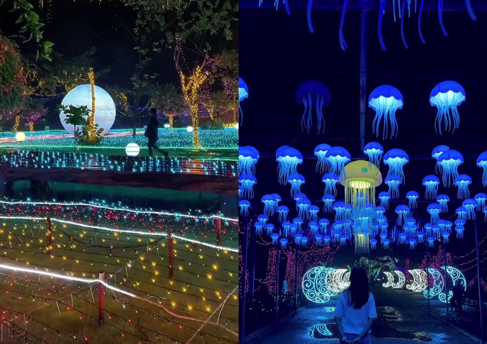 Baru! Festival Taman Lampu Menyala Jakarta Hadir di Mangrove, Simak Harga Tiket dan Jadwalnya