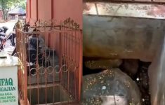 Viral Lubang Sunan Gunung Jati Tembus Mekkah, Juru Kunci Tegaskan Narasi Itu Keliru