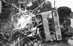 Truk Ayam Potong Oleng Tabrak Pembatas Jalan di Cibinong Bogor, Muatan Berceceran