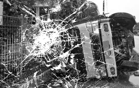 Truk Ayam Potong Oleng Tabrak Pembatas Jalan di Cibinong Bogor, Muatan Berceceran