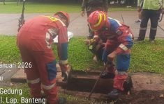 Ular Kobra Muncul di Lapangan Banteng Jakarta Pusat, Damkar Bergerak Cepat Evakuasi dalam 38 Menit