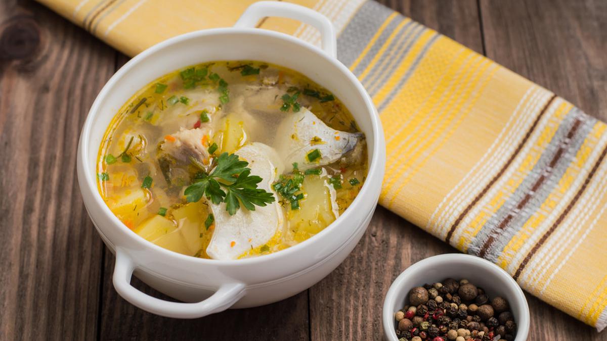 058826500 1598861157 shutterstock 409496938