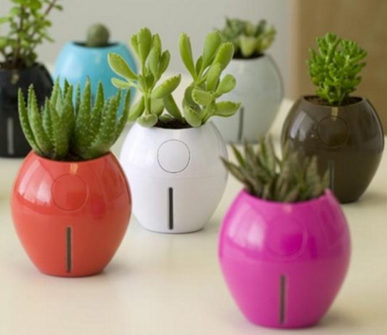 Ide Kado Valentine 2026