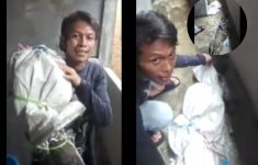 Viral Pria Diduga Gendong Mayat di Tambora Jakbar Terekam CCTV Ternyata Biawak: Maaf Ya Udah Bikin Rame