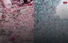 Cacahan Uang Pecahan Rp100 Ribu dan Rp50 Ribu Geger di Bekasi, Terhampar di TPS Liar Setu