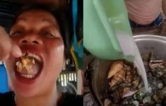 Heboh! Influencer Mukbang Tewas Usai Santap Devil Crab, Ternyata Kepiting Ini Mengandung Racun Mematikan