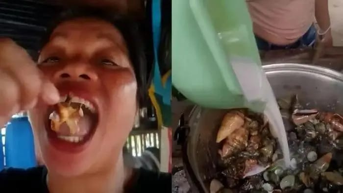 Heboh! Influencer Mukbang Tewas Usai Santap Devil Crab, Ternyata Kepiting Ini Mengandung Racun Mematikan