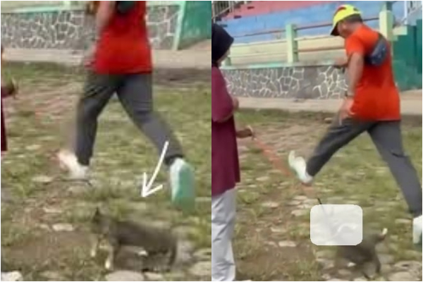 Polisi Kantongi Identitas Pria Tendang Kucing di Blora, Netizen: Semoga Ada Keadilan