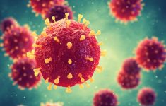 Waspada! Infeksi Virus Nipah Bisa Sebabkan Koma 48 Jam, Serang Otak dan Paru-Paru