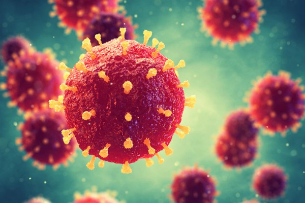 Waspada! Infeksi Virus Nipah Bisa Sebabkan Koma 48 Jam, Serang Otak dan Paru-Paru