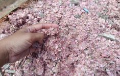 Alasan Cacahan Uang Rupiah Kertas Ditemukan di TPS Liar Bekasi, Polisi: Limbah Resmi BI