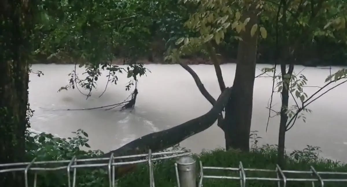 Ikan Mati di Sungai Jaletreng Tangsel Usai Kebakaran Pabrik Pestisida, Polisi Minta Warga Jangan Konsumsi