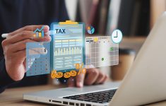 Apa Itu Harta PPS di Sistem Coretax