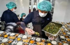 47 SPPG Dihentikan Sementara, BGN Temukan Menu MBG Tak Layak Konsumsi Berjamur hingga Busuk