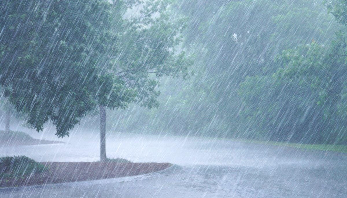 Waspada! BMKG Ungkap 15 Wilayah Berpotensi Hujan Lebat 16 Februari 2026, Ini Daftarnya