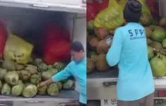 Viral Menu MBG Kelapa Muda dan Telur Mentah di Pamekasan, Kepala SPPG Bumdes: Uji Coba Jelang Ramadhan