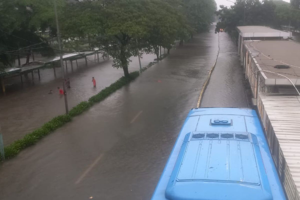 Rute Transjakarta Dialihkan Imbas Banjir Jakarta, 4 Halte Terdampak