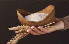 Waktu yang Tepat untuk Membayar Zakat Fitrah