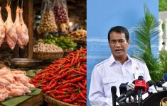 Harga Cabai Rawit Merah dan Daging Ayam Turun Nasional, Mentan: Tidak Boleh Ada Pelaku Usaha Mempermainkan Harga