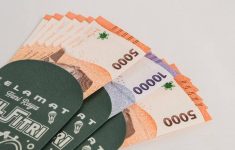 TPG Masuk Komponen THR ASN 2026