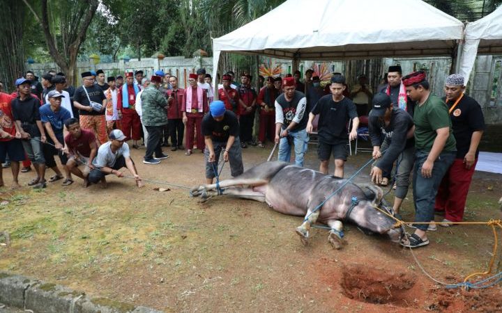 Tradisi Kebo Andil Jelang Lebaran di Depok, Warga Patungan Sebagai Simbol Kebersamaan