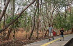 BMKG Prediksi Kemarau 2026 Lebih Awal, Pemprov DKI Siapkan Antisipasi Kekeringan Himbau Warga Tak Bakar Sampah