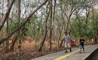 BMKG Prediksi Kemarau 2026 Lebih Awal, Pemprov DKI Siapkan Antisipasi Kekeringan Himbau Warga Tak Bakar Sampah