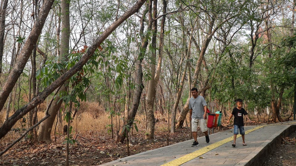 BMKG Prediksi Kemarau 2026 Lebih Awal, Pemprov DKI Siapkan Antisipasi Kekeringan Himbau Warga Tak Bakar Sampah