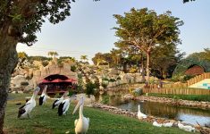 Promo Jagat Satwa Nusantara TMII: Tiket Mulai Rp15 Ribu, Paket Lengkap Cuma Rp125 Ribu!