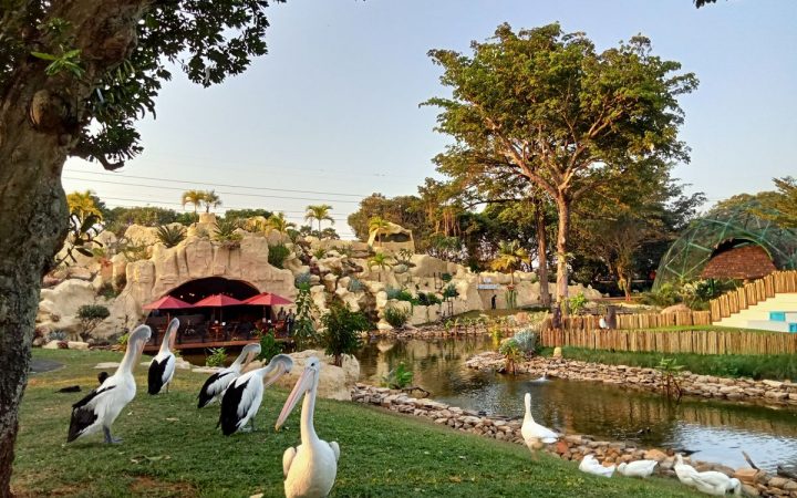 Promo Jagat Satwa Nusantara TMII: Tiket Mulai Rp15 Ribu, Paket Lengkap Cuma Rp125 Ribu!