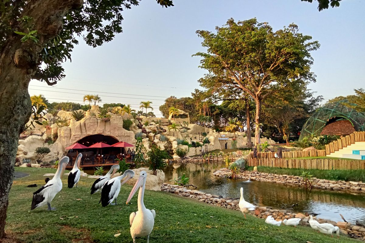 Promo Jagat Satwa Nusantara TMII: Tiket Mulai Rp15 Ribu, Paket Lengkap Cuma Rp125 Ribu!