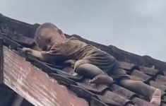 Balita 2 Tahun Asal Lombok di Atas Atap, Diduga Anak Aktif Hingga Panjat Genteng