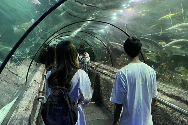 Pengunjung Ancol Dievaskuasi Saat Pemadaman Listrik Jakarta, Sea World Gelap Gulita