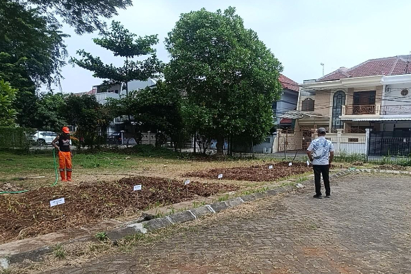 Strategi Cengkareng Barat Dorong Penguatan Ketahanan Pangan Berbasis Wilayah, Fokus Milik Sendiri