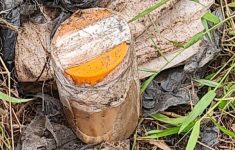 Geger! Potongan Tubuh Manusia Ditemukan dalam Toples di Samarinda