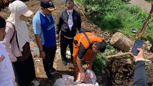 Ini Cara Pemprov DKI Musnahkan Ikan Sapu-Sapu, Dipastikan Mati Dulu Baru Dikubur