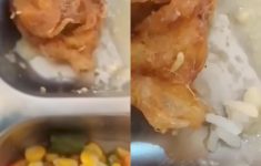 Viral Menu MBG di Cianjur Ada Belatung dan Bau Bangkai, Satgas Akan Datangi SPPG