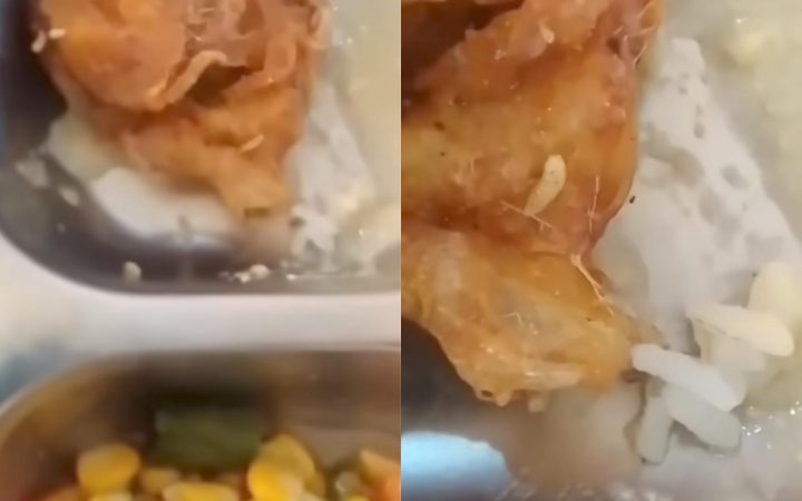 Viral Menu MBG di Cianjur Ada Belatung dan Bau Bangkai, Satgas Akan Datangi SPPG