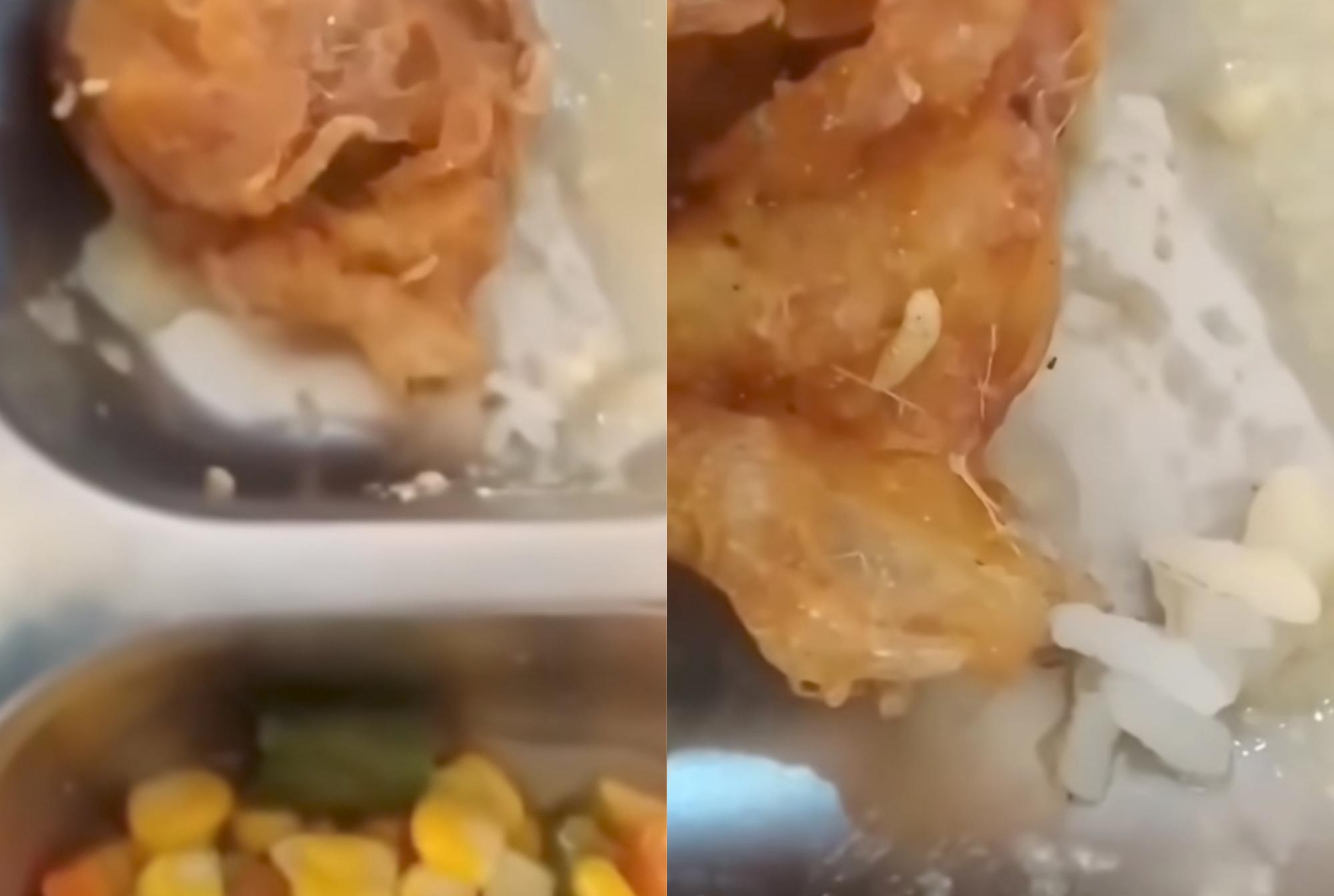 Viral Menu MBG di Cianjur Ada Belatung dan Bau Bangkai, Satgas Akan Datangi SPPG