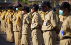 BKN Tegaskan ASN Hanya PNS dan PPPK